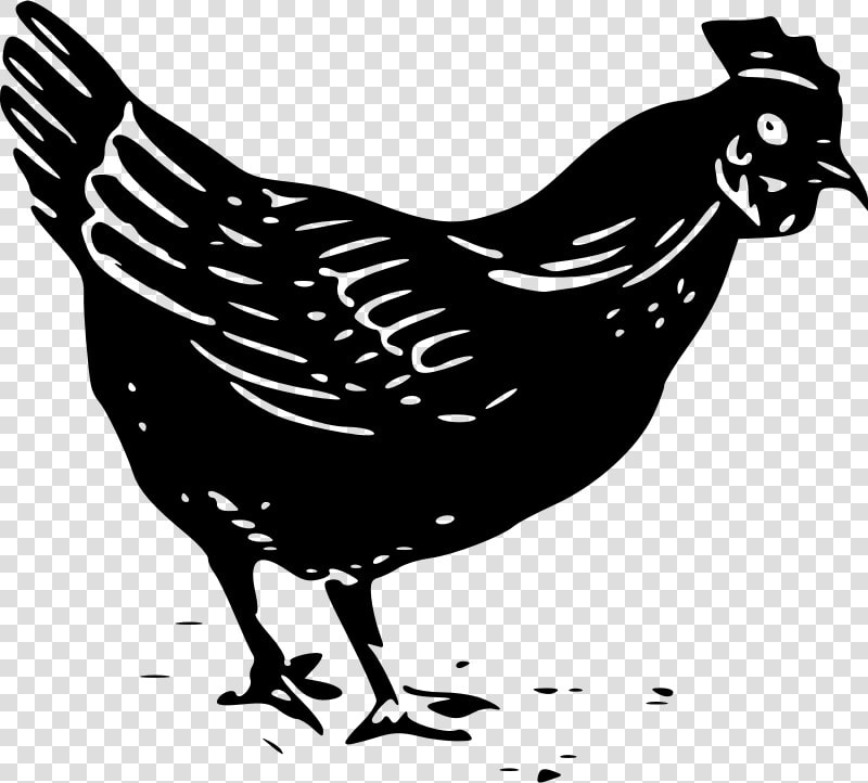 Hay Clipart Chicken   Black And White Chicken Clip Art  HD Png DownloadTransparent PNG