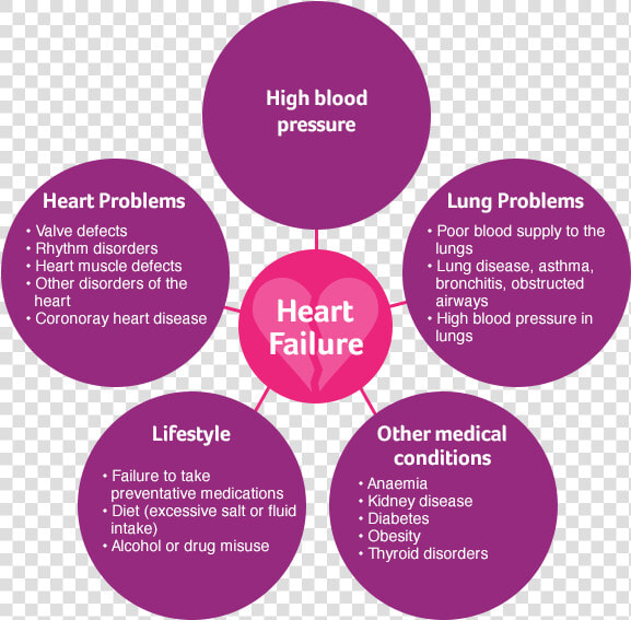 Hf Basics Circles   Heart Failure Causes  HD Png DownloadTransparent PNG