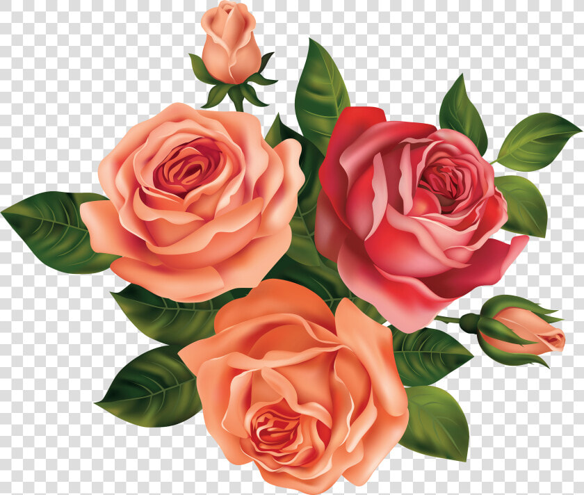 Yellow Rose Flower Free Png Transparent Images Free   Beautiful Flower Rose Drawing  Png DownloadTransparent PNG