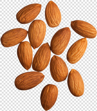 Apricot kernel   Almonds Png  Transparent PngTransparent PNG