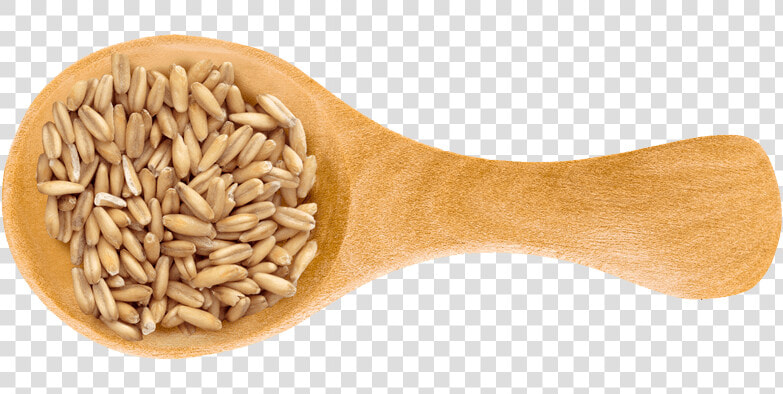 Spelt Png  Transparent PngTransparent PNG