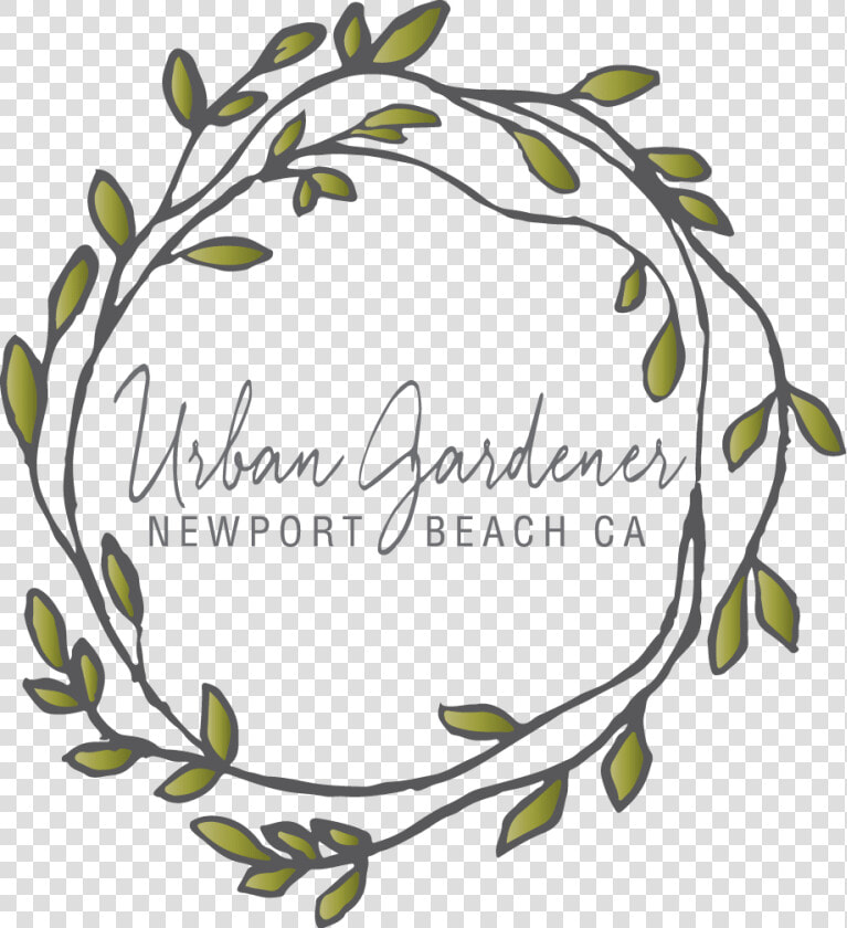 Newport Beach  Ca Florist  HD Png DownloadTransparent PNG