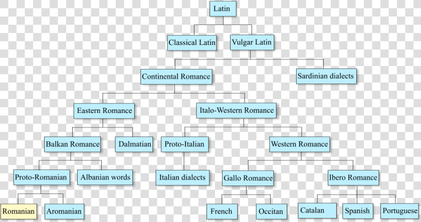 Romance Languages And Romanian   Romanian Language Family Tree  HD Png DownloadTransparent PNG