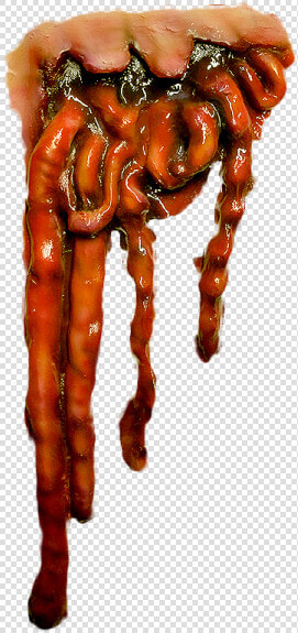 Transparent Intestine Png  Png DownloadTransparent PNG