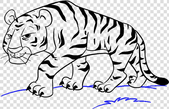 How To Draw Cartoon Tiger   Tiger Cartoon Drawing Easy  HD Png DownloadTransparent PNG