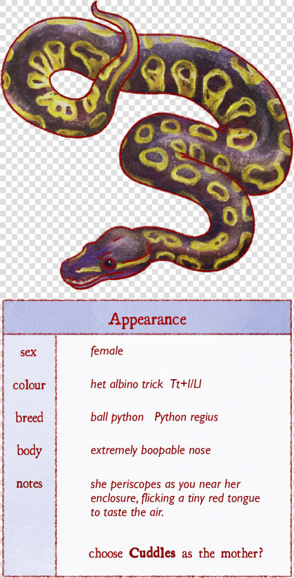 Burmese Python  HD Png DownloadTransparent PNG