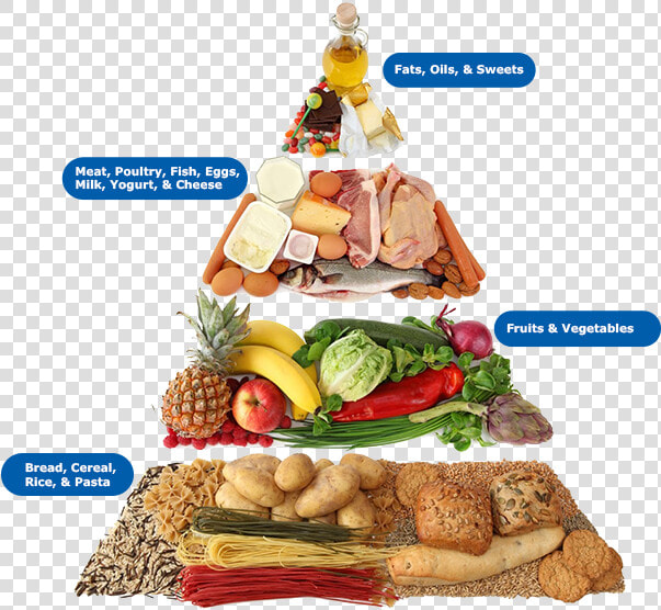 Egal S Art Print   Carbohydrates Types Of Nutrients  HD Png DownloadTransparent PNG