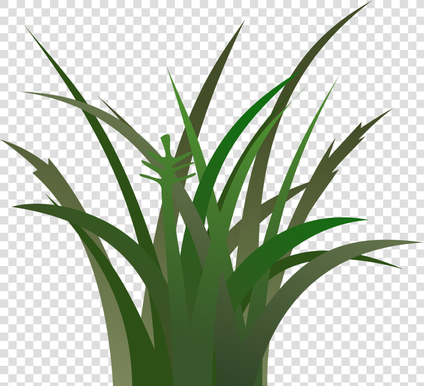 Green Grass Clip Art   Dark Green Grass Clipart  HD Png DownloadTransparent PNG