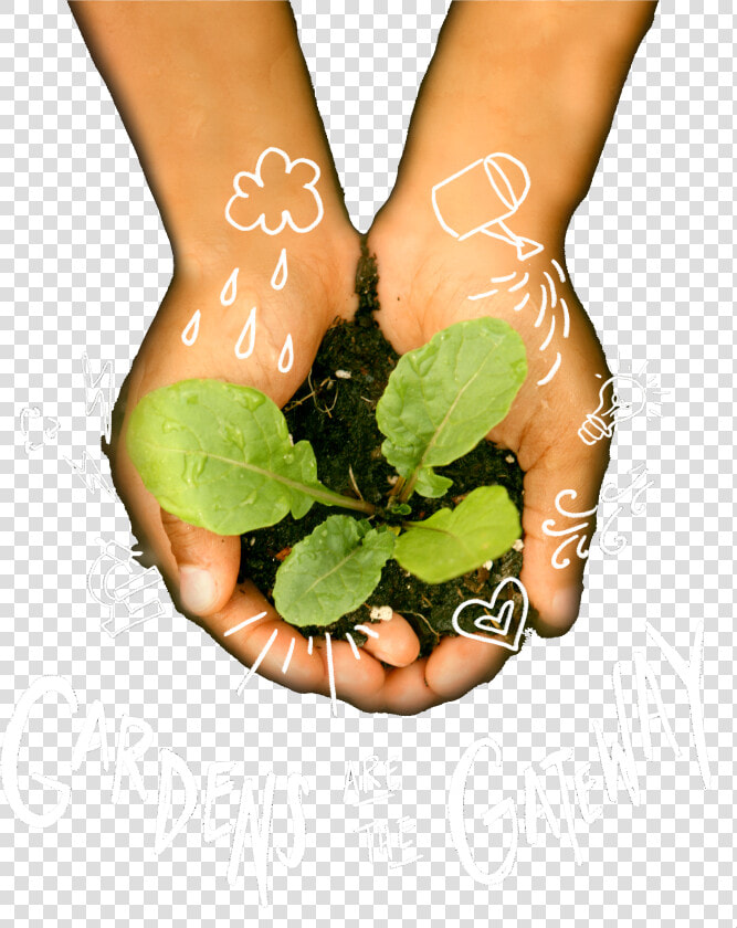 Gala Image   Gardener  HD Png DownloadTransparent PNG