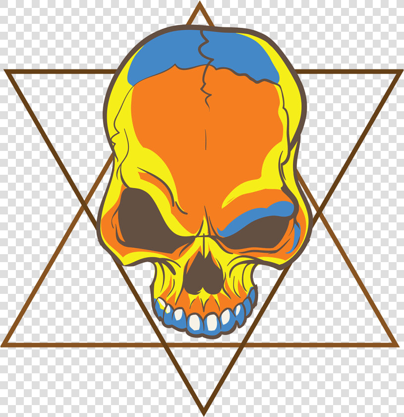 Symmetry Clipart Rana   Skull  HD Png DownloadTransparent PNG