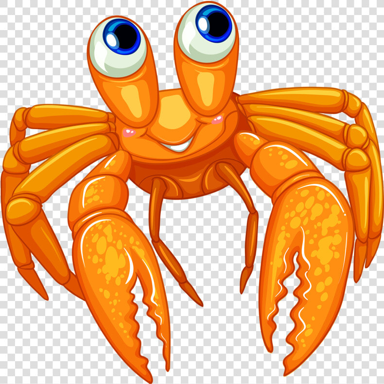 ○•‿✿⁀ocean Safari‿✿⁀•○ Sea Clipart  Clip   Transparent Background Hermit Crab Png  Png DownloadTransparent PNG