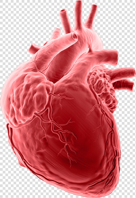 Collaborative Imaging Brain   Heart Attacks  HD Png DownloadTransparent PNG