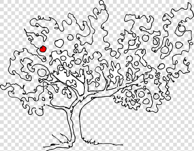 Transparent Apple Tree Png   Apple Tree Line Drawing  Png DownloadTransparent PNG