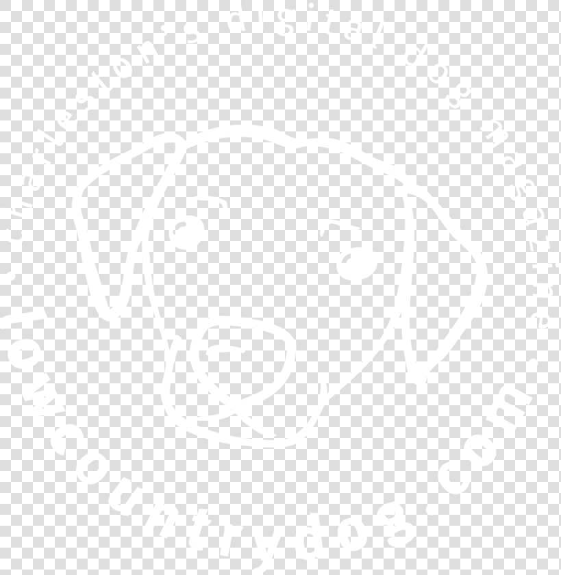 Lcd Circle Logo white   Johns Hopkins White Logo  HD Png DownloadTransparent PNG