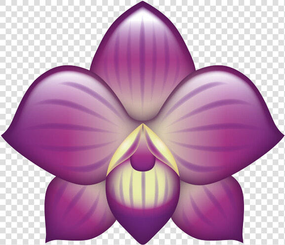 Cattleya  HD Png DownloadTransparent PNG