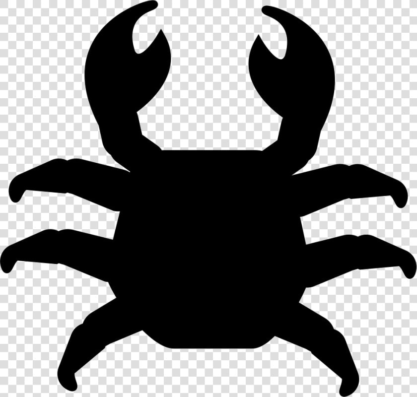 Crab Cake Vector Graphics Computer Icons Illustration   Top View Of Animals  HD Png DownloadTransparent PNG