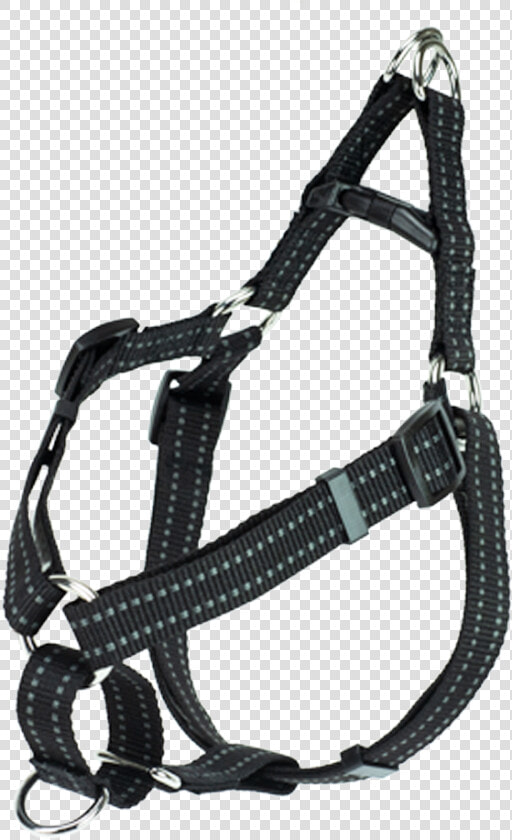 Halter  HD Png DownloadTransparent PNG