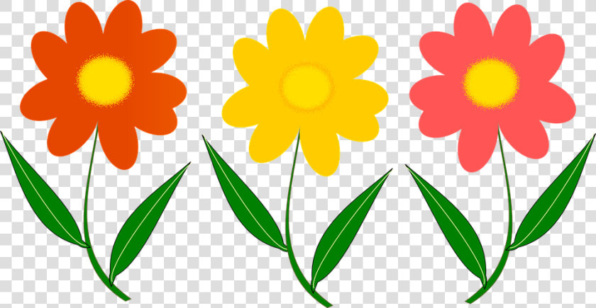 Tres Flores  Planta  Imagen Del Vector   Colourful Flowers To Print Out  HD Png DownloadTransparent PNG