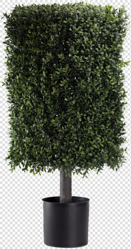 Square Topiary Pot  HD Png DownloadTransparent PNG