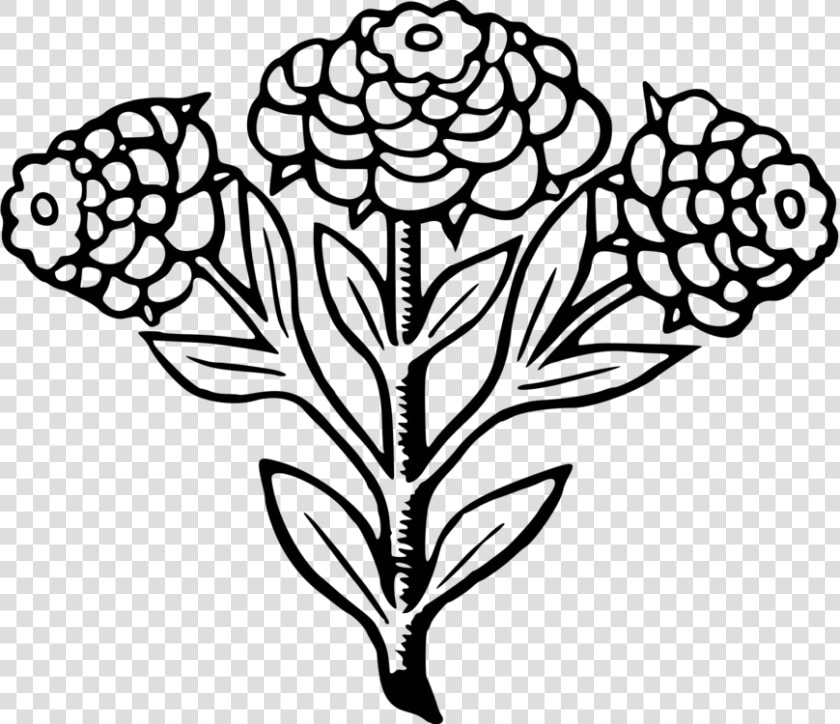 Line Art plant flora   Illustration  HD Png DownloadTransparent PNG