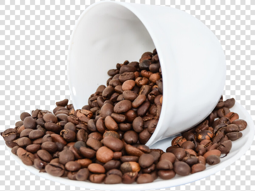 Pngpix Com Coffee Beans Png Image   Coffee Bean Png Free  Transparent PngTransparent PNG