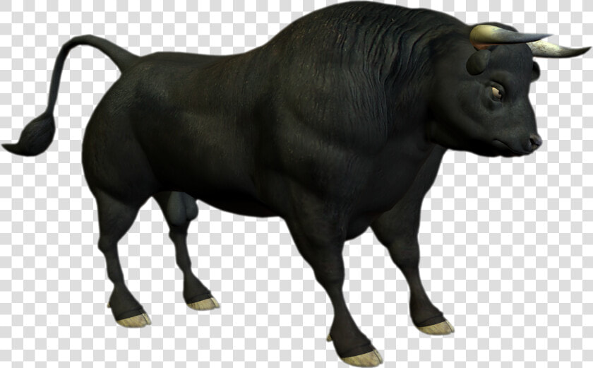 Clip Art Bull Png   Bull Png  Transparent PngTransparent PNG