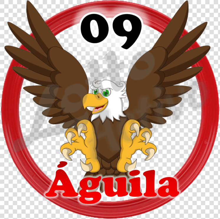 Aguila Lotto Activo Clipart   Png Download   Aguila Lotto Activo  Transparent PngTransparent PNG