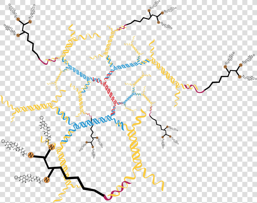 Oligo With 3 Drug Molecules 18 Drug Molecules On 3dna   Map  HD Png DownloadTransparent PNG