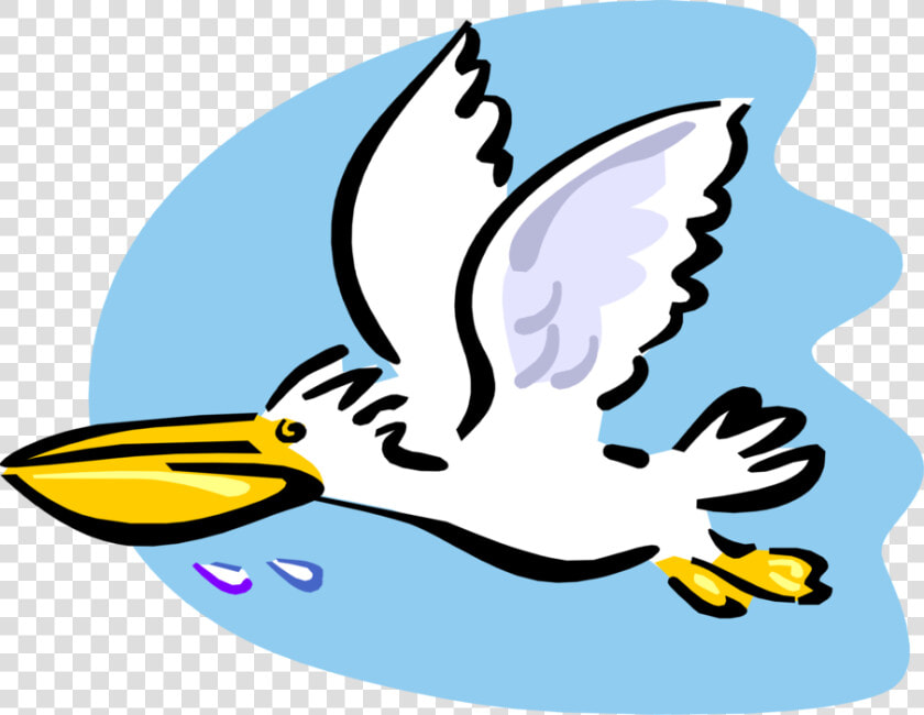 Vector Illustration Of Large Water Bird Pelican Flying   Cartoon Pelican Flying  HD Png DownloadTransparent PNG