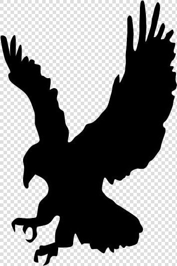 Flying Harpy Eagle Png Image   Silhouette Eagle Clipart  Transparent PngTransparent PNG