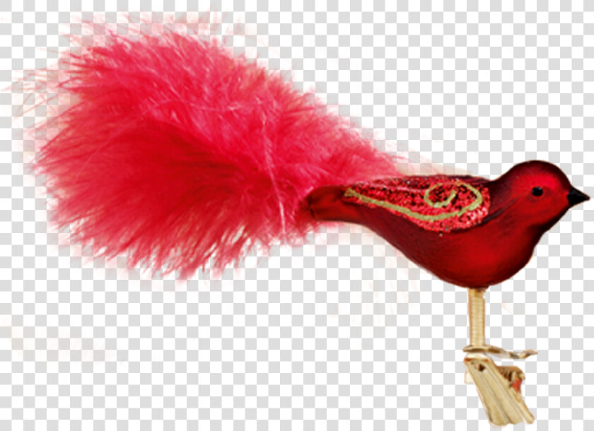 Songbird  HD Png DownloadTransparent PNG