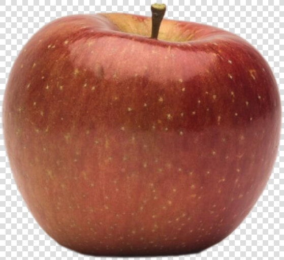 Apple Holler Evercrisp Apple   Mcintosh  HD Png DownloadTransparent PNG