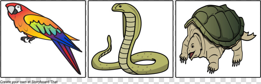 Serpent  HD Png DownloadTransparent PNG