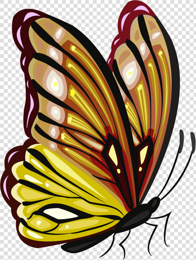 Brown Butterfly Png   Pink And Purple Butterfly Clipart  Transparent PngTransparent PNG