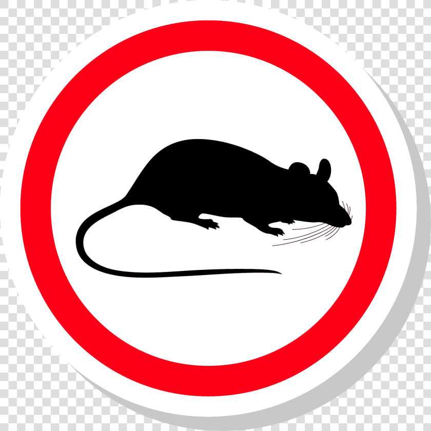 Rodent Control Png  Transparent PngTransparent PNG