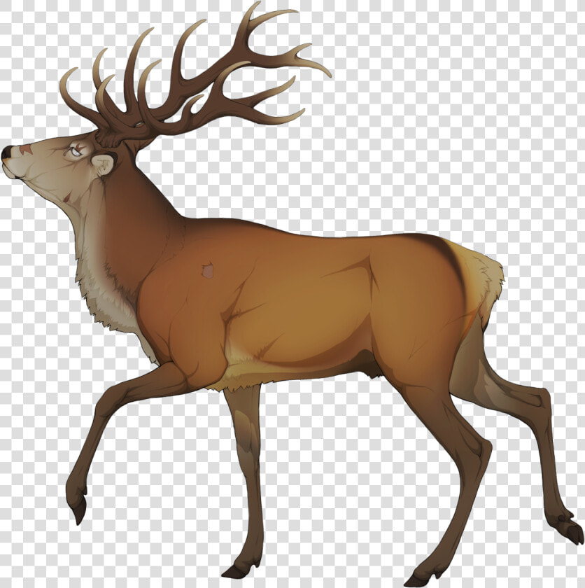 Elk Clipart Golden Deer   Elk Clipart  HD Png DownloadTransparent PNG