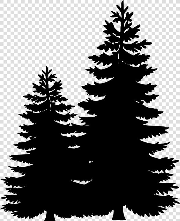 Clip Art Portable Network Graphics Pine Tree Image   Pine Tree Line Silhouette  HD Png DownloadTransparent PNG