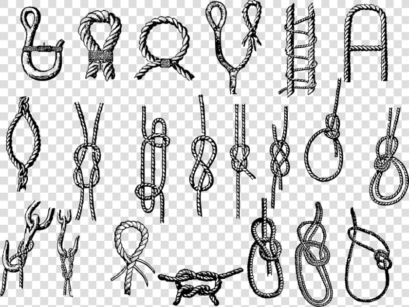 Clip Art Heart Knot Royalty Library   Important Knots  HD Png DownloadTransparent PNG