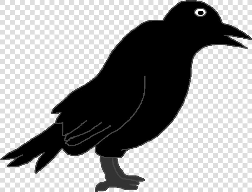 Graphics By Ruth   Outline Picture Of Crow  HD Png DownloadTransparent PNG