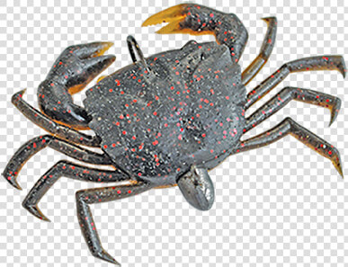 Crabs Png  Transparent PngTransparent PNG