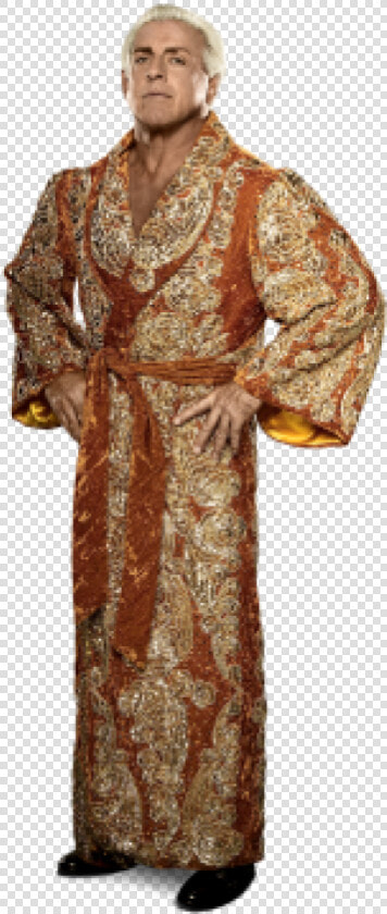 Ric Flair Png  Transparent PngTransparent PNG