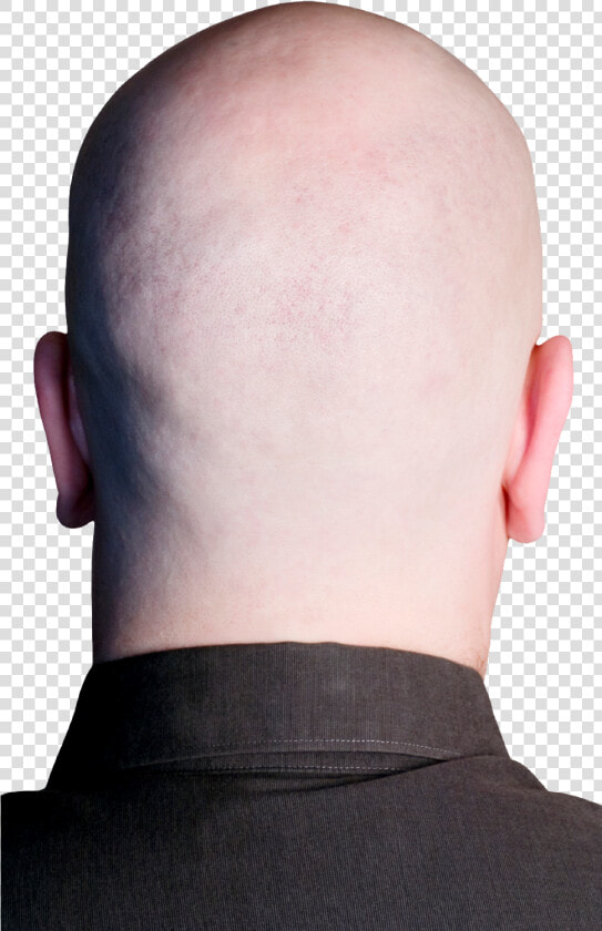 Back Of Head Png   Back Of Bald Head Transparent  Png DownloadTransparent PNG