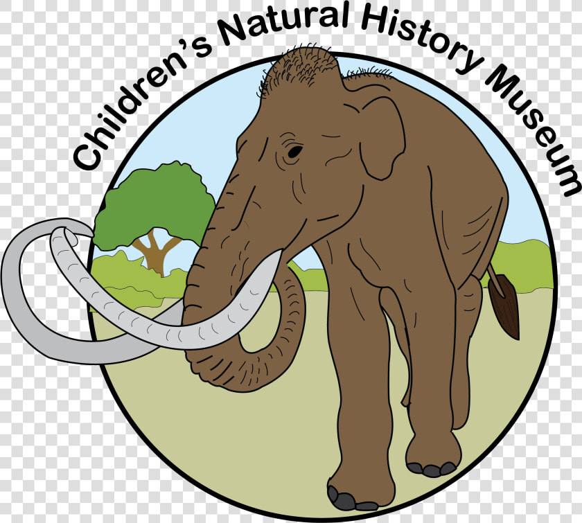 How To Use Museum September 7  2019 Saturday 10am  12   Indian Elephant  HD Png DownloadTransparent PNG