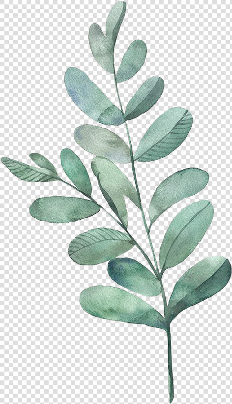 Watercolour Green Leaves Png   Png Download   Watercolor Leaves Transparent Background  Png DownloadTransparent PNG