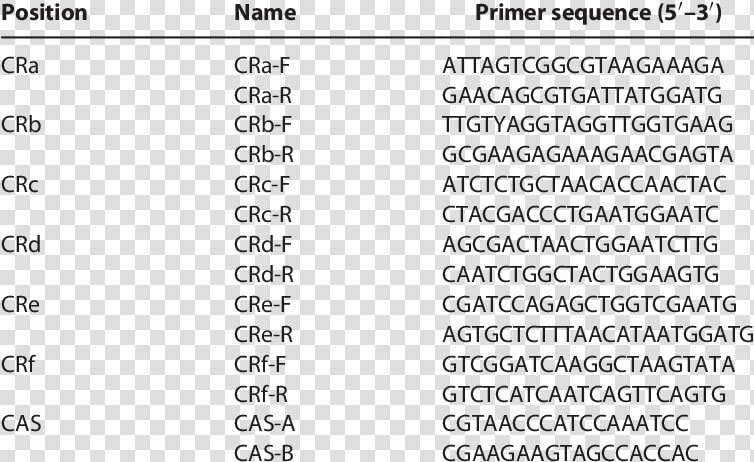 Primer Sequence Of Il 6  HD Png DownloadTransparent PNG