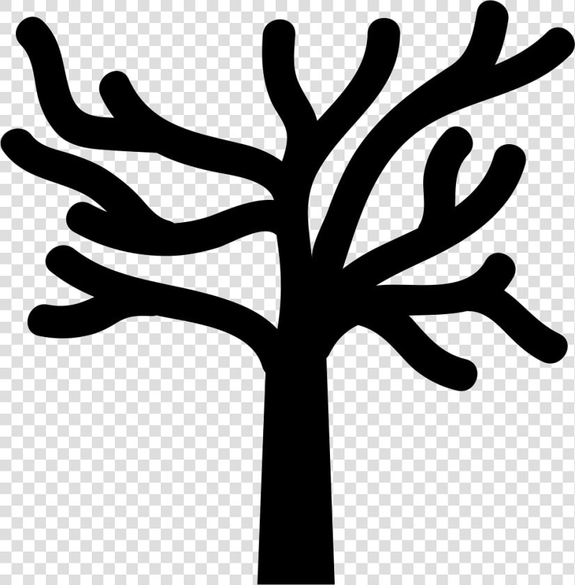 Naked Trees Branches   Tree Branches Icon Png  Transparent PngTransparent PNG