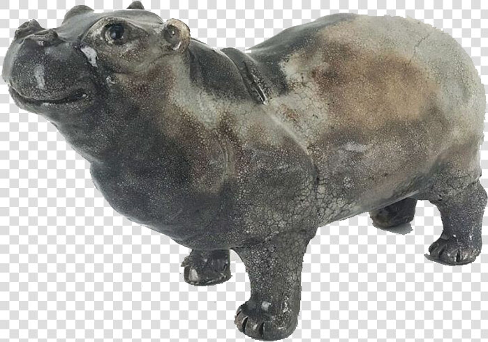 Hippopotamus Png Free Images   Bison  Transparent PngTransparent PNG