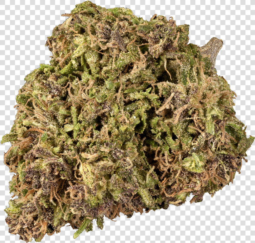 Mugwort Herb  HD Png DownloadTransparent PNG