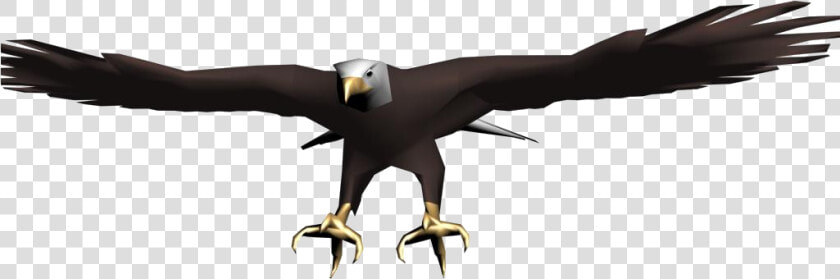 Eagle   Png Download   Buzzard  Transparent PngTransparent PNG