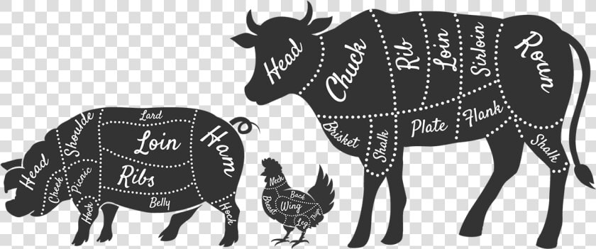 Beef Cuts Clipart  HD Png DownloadTransparent PNG